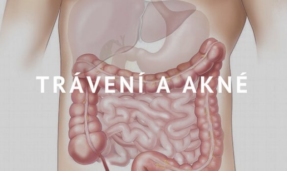 TRÁVENÍ A AKNÉ