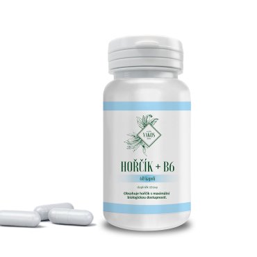 HOŘČÍK + B6