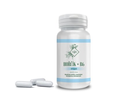 HOŘČÍK + B6